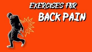 EXERCISES FOR BACK PAIN 2021 - GIVE THESE A TRY!