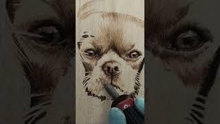 Wood Burning a Pet Portrait