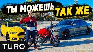 Аренда автомобилей в США и как на этом заработать | Приложение Turo