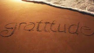 Gratitude: A Health Essential on Wellness For Realists