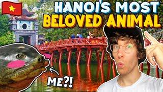 Hanoi's MOST BELOVED Animal! | Vietnam Hoan Kiem Lake Vlog