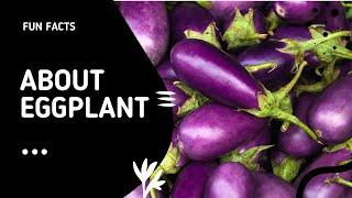 Fun Facts about Eggplants  (Free Smoothie Recipe) #shorts