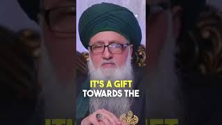 Nothing is Wasted in God's Way #shaykhnurjanmirahmadi #shaykhnazim #paradise