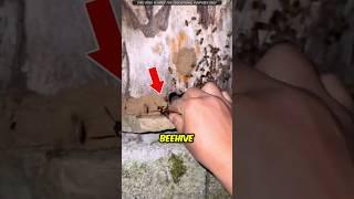 Why Is This Man Killing This Insect? | #shorts