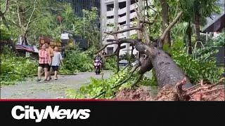 Typhoon Yagi weakens after killing dozens in Vietnam, China and the Philippines