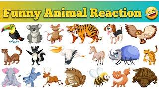 Animal Funny Voiceover #shorts #viral #trending #pataniyaboy#voiceover