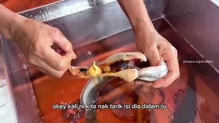 CARA SIANG IKAN KELI