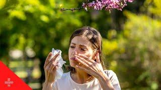 7 Herbal Remedies for Allergies