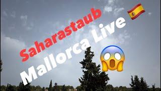Mallorca Live  Saharastaub ohne Ende  morgen wieder Sonne ️ satt & 30° 