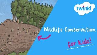 Wildlife Conservation for Kids | What Is Wildlife Conservation? | Twinkl USA