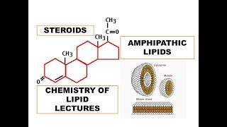 Steroids and Amphiphatic Lipids