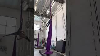 FUN DYNAMICS  #shorts #aerialsilks