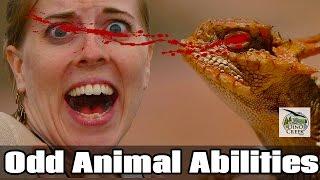 5 Odd Animal Abilities