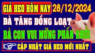 Giá heo hơi ngày 28/12/2024 - TĂNG GIÁ ĐỒNG LOẠT, BÀ CON VUI MỪNG PHẤN KHỞI