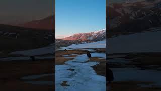 Природа #youtubeshorts #travel #youtube #kyrgyzstan #nature #youtubeshorts #snow