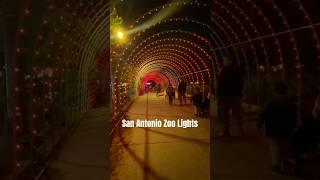 Christmas at the San Antonio Zoo | Family Holiday Activity. #short #christmaslights #sanantoniozoo