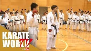 Tzanos Flash Karate Application Seminar- Tzanosフラッシュ空手アプリケーションセミナー  [Trailer]