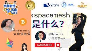 [第1集] Spacemesh SMH是什么？#spacemesh #SMH #POW #web3 #大鱼谈链爱 #小范同学996 #有鱼有饭 #显卡