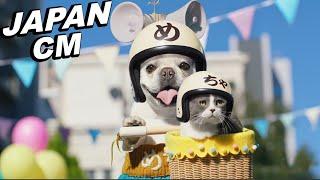 JAPANESE COMMERCIALS 2024 | FUNNY, WEIRD & COOL JAPAN! #8
