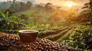 5 Essential Arabica Coffee Bean Facts Every Coffee Lover Needs to Know