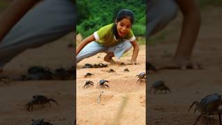 The girl found a lot of crabs  #camping #survival #outdoors #lifehack