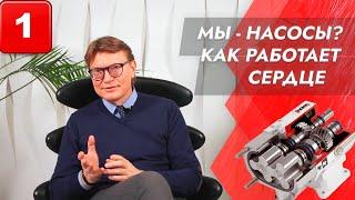 Выпуск 1. Просто о сложном: Мы – насосы? Как работает сердце.