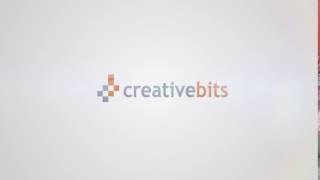 Clean & Professional Logo Animation 45