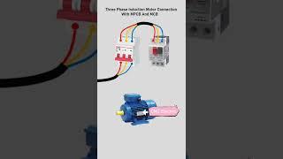 3 Phase Motor Connection with MPCB and MCB by CNC Electric@CNCElectric1988