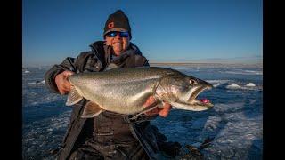 The Lake Trout of Fort Peck Montana | S5E7| Superior Angling T.V.