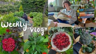 cozy homebody life in my 30's  book unboxings & lush garden updates