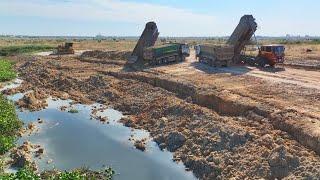 DumpTruck TRAGO HYUNDAI Transport Soil And Bulldozer SHANTUI Push Soil In Water