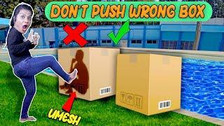 Don't Push Wrong Mystery Box Challenge | Hungry Birds