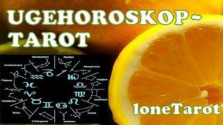 Ugehoroskop⭐Tarot | 8. - 14. Feb 2025 | Nedgang & Opgør | MC (10.//) (1./) & Vær Beredt