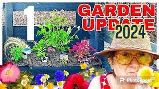 PLANTING MEMORIES | How to start a wildflower garden UK | Beautiful  | The Gardening Knitter