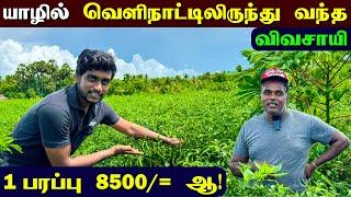  யாழில் இனி இப்படித்தான் தோட்டம் செய்ய முடியுமா?  | Village Garden | Jaffna Thanush