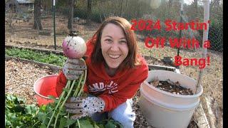 Early 2024 Harvest and Raised Bed Preparations #homesteadgarden