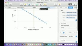 Analyze Your SDS-PAGE Data IN 5 MINUTES!