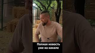 Климатический кризис «заглянул» в спальни насекомых