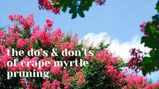 The Do's & Do Not's of Crape Myrtle Pruning: Examples, Explanations, & Education