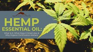 Hemp Essential Oil: What Is It, What Does It Smell Like, & Why Organic Certification Matters