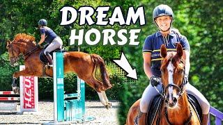 THiS HORSE | Falling in a love with a New Horse in Germany #GAT2024