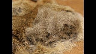 Making Dubbing for Fly Tying #1 (Rabbit Hides, Shearing, Blending)