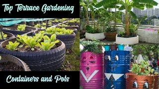 Top Terrace Gardening Containers and Pots to grow plants | Plant Gardening Ideas | Daily Gardening