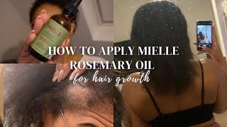 how to use mielle rosemary mint growth oil for hair growth