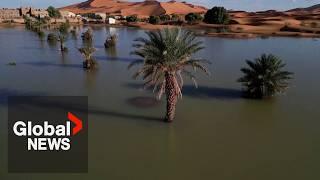 Sahara desert flood: Drone video shows palm trees, sand dunes inundated after rare rainfall