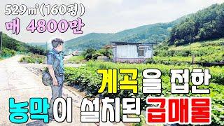 [농막816] 농막과 계곡접한 싸게 나온 급매물 매4800만 #밀양부동산 #밀양토지매매 #밀양땅매매 #밀양농막토지 #밀양주말농장토지 #밀양주말농장 #밀양무안면토지 #밀양무안면땅