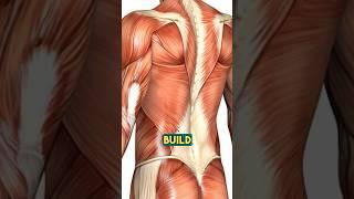 The ULTIMATE Calorie Burner is… #shorts #musclebuilding #gym