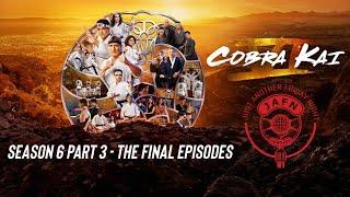 Cobra Kai Season 6 - The Last Episodes! - Final Season Pt. 3 E10228