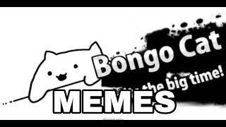 BONGO CAT MEMES COMPILATION