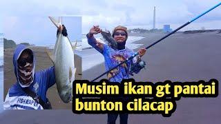 Mancing ikan babby gt & ikan gatho di pantai bunton full strike